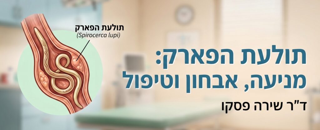 תולעת הפארק: מניעה אבחון וטיפול - ד"ר שירה פסקו
